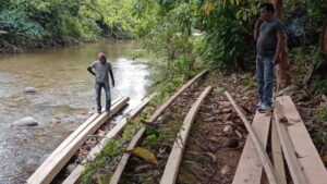 Kodim Pessel Temukan puluhan kubik kayu tak bertuan di Mandeh