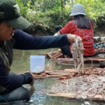 Budidaya Toek, Kehidupan masyarakat di Mentawai