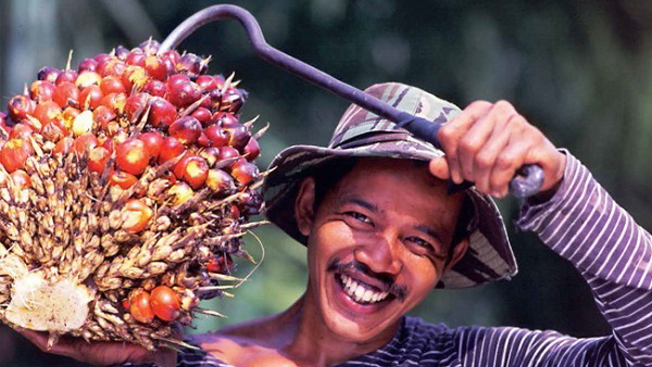 Senyum sumringah Petani Sawit