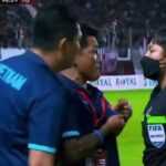 Pelatih kepala Vietnam