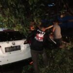 Mobil Tertimpa pohon tumbang